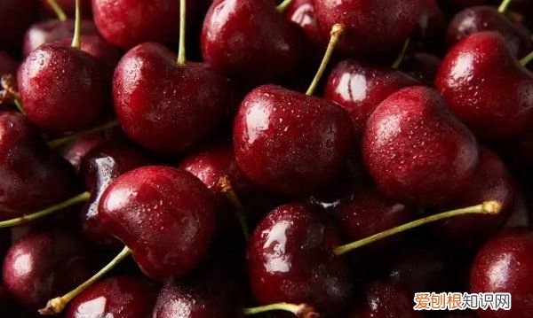 车厘子自由什么意思