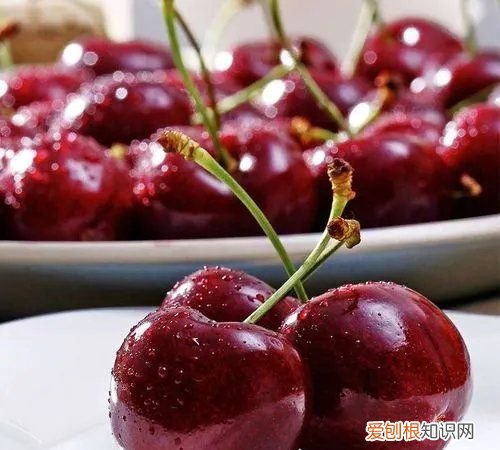 车厘子自由什么意思