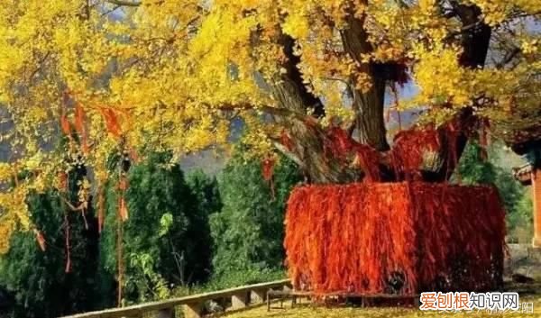 安阳最美的十个地方 安阳景点