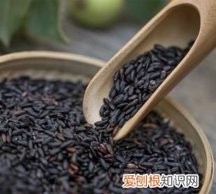 黑米是粗粮吗，黑糯米是粗粮