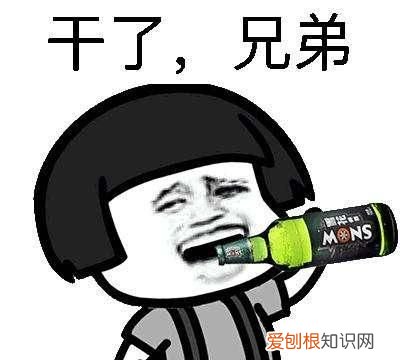 资治通鉴为什么有孙权劝学