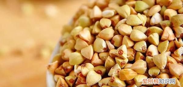 荞麦泡水后能吃吗