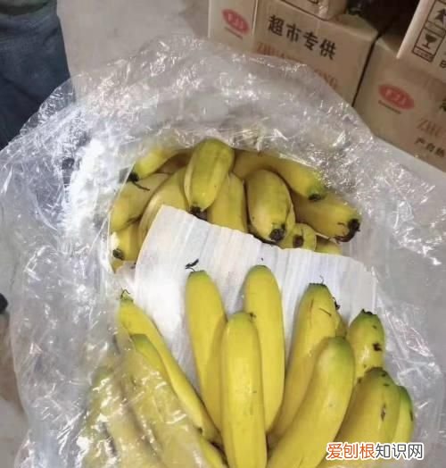 橘子怎么放熟，橘子熟了是什么意思