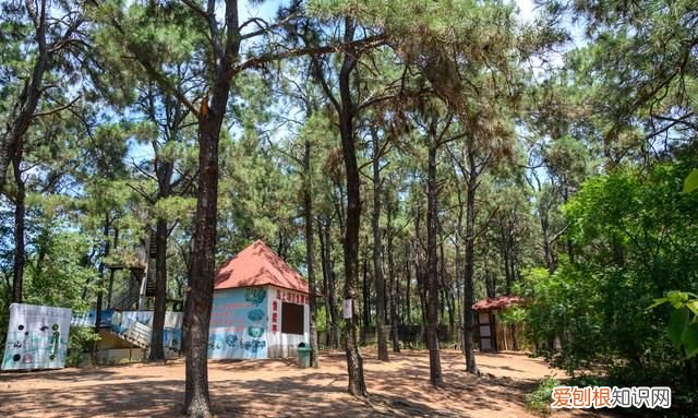 安徽这个湖泊比西湖大1.5倍