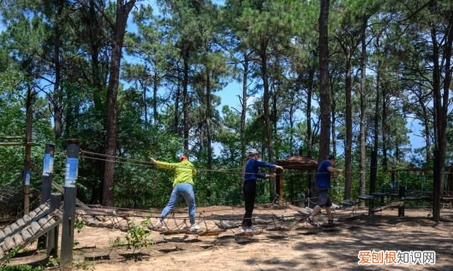 安徽这个湖泊比西湖大1.5倍