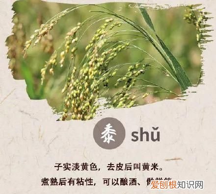 今日秋分这些秋分习俗你知道吗,萌娃说节气你不知道的秋分那些事