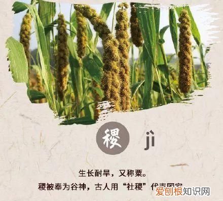 今日秋分这些秋分习俗你知道吗,萌娃说节气你不知道的秋分那些事