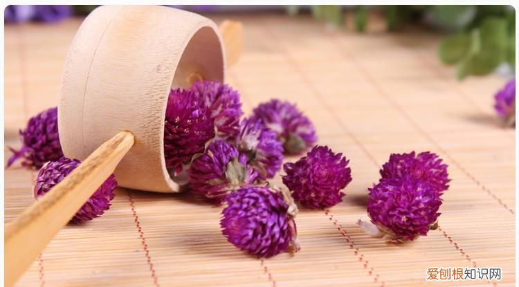 女性调养千日红茶绝对是口味绝佳花茶 千日红花茶