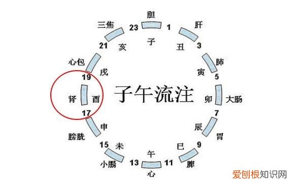 职场肾气凌人的锻炼法 飞燕式锻炼！