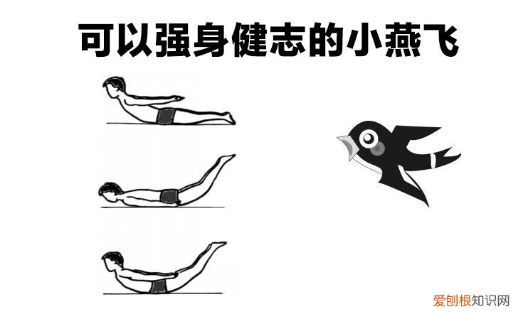 职场肾气凌人的锻炼法 飞燕式锻炼！