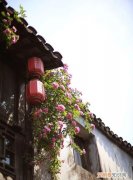 邂逅什么意思，邂逅风华什么意思