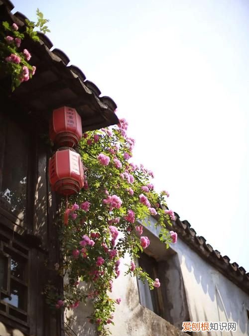 邂逅什么意思，邂逅风华什么意思