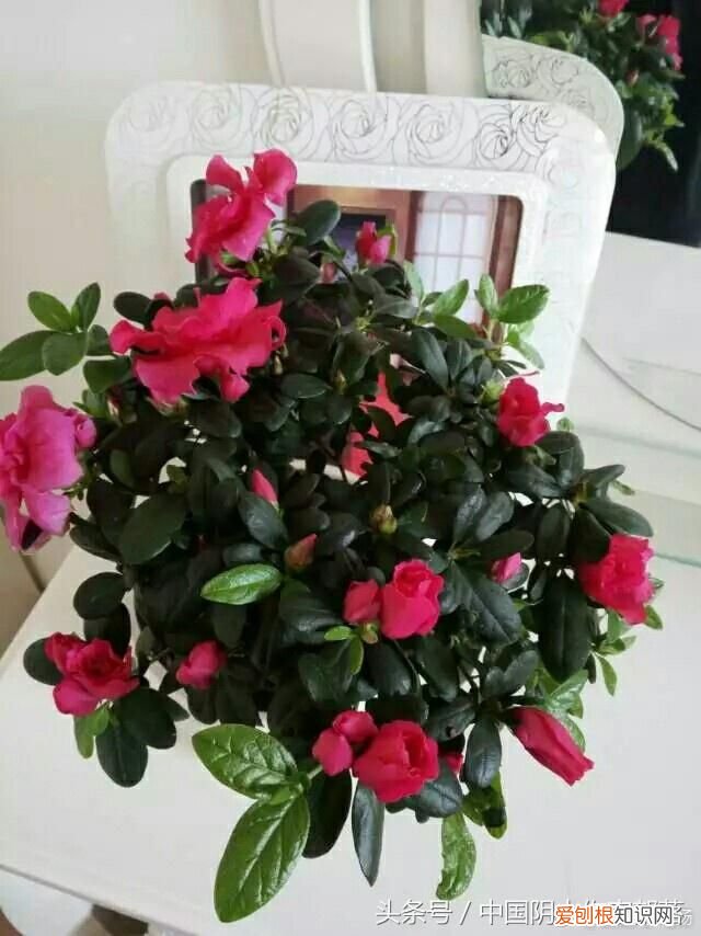 姚志芸作品：随笔小记 随笔小记