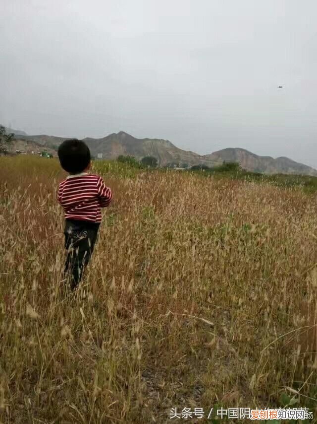 姚志芸作品：随笔小记 随笔小记