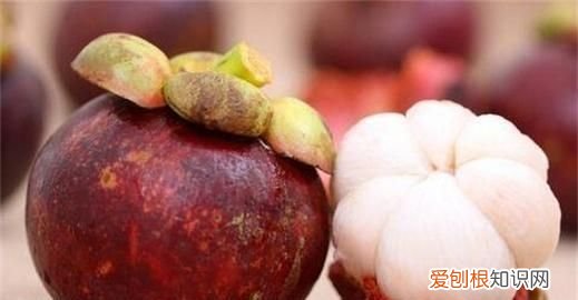 山竹能保存几天呢，山竹最好的保存方式是什么