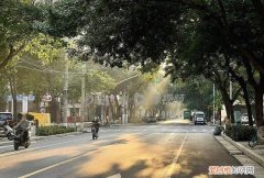 今天凌晨河南多地有雾 你偶遇“丁达尔”了吗