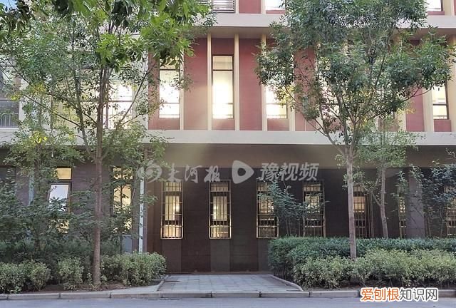 今天凌晨河南多地有雾 你偶遇“丁达尔”了吗