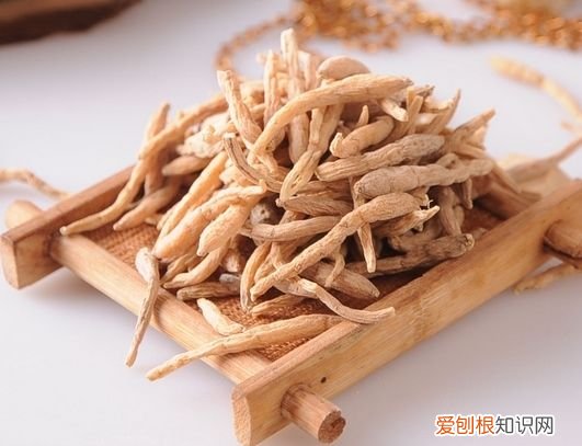 老人口干怎么办 不妨喝点参芪汤 五仁参芪汤