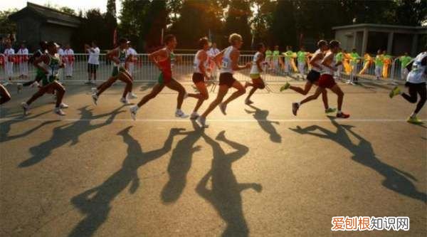 有氧运动和无氧运动的区别