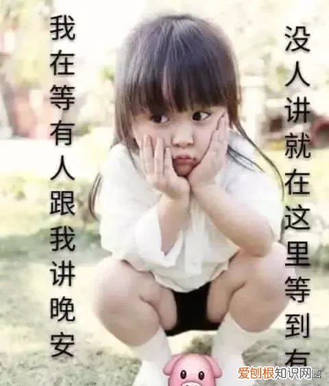 问候祝福语录大全 问候短信大全