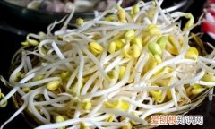 黄豆芽发苦能吃吗，豆芽菜蒸熟发苦啥原因