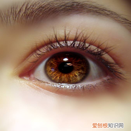 如何护眼防眼衰，6个护眼方法 保护视力的方法
