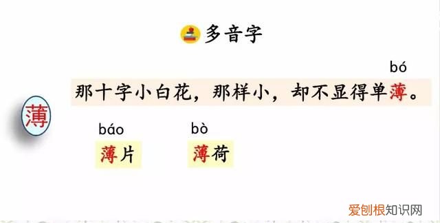 部编六年级上册丁香结知识点,部编版六年级上册丁香结讲解