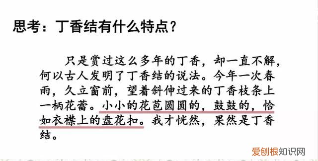 部编六年级上册丁香结知识点,部编版六年级上册丁香结讲解