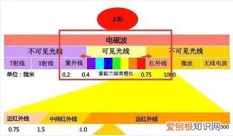 红外光竟然能鉴定物质结构？ 红外光谱图分析