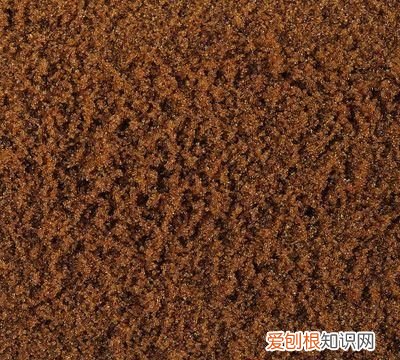 红糖颗粒和红糖的区别 什么时候喝红糖最有效