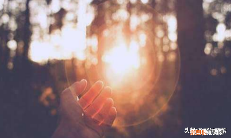 让感恩成为一种习惯作文800字 让感恩成为一种习惯