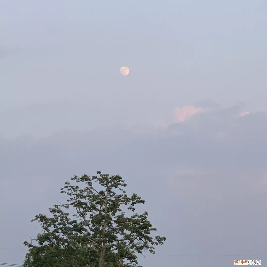 手机如何拍月亮？ 手机拍月亮