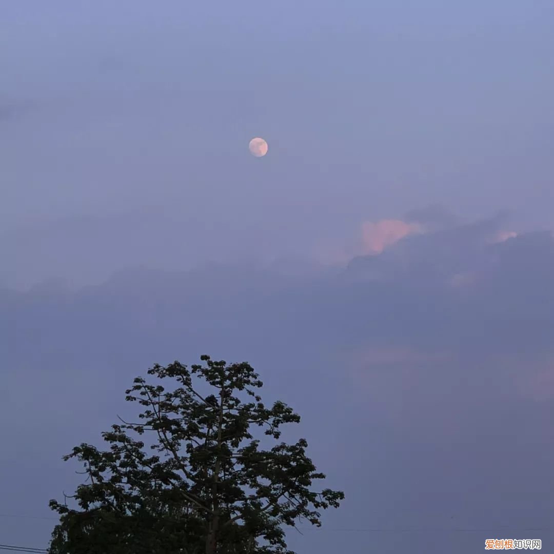 手机如何拍月亮？ 手机拍月亮