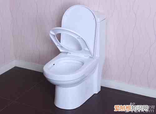 疏通马桶十大绝招 马桶堵塞怎么疏通