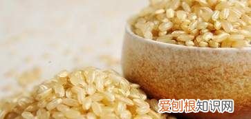 糙米是大米吗，糙米能和大米一起蒸