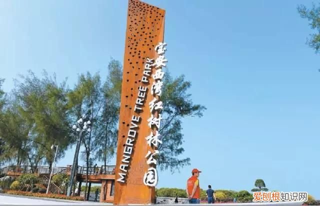 一定去西湾红树林公园看看! 深圳红树林门票