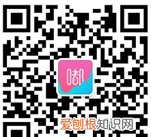 嘟嘟美业集团有限公司是做什么的