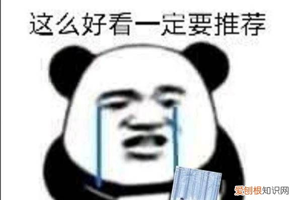 安利是什么意思