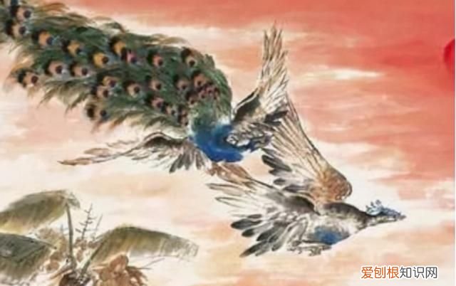 孔雀东南飞为何被移出课本