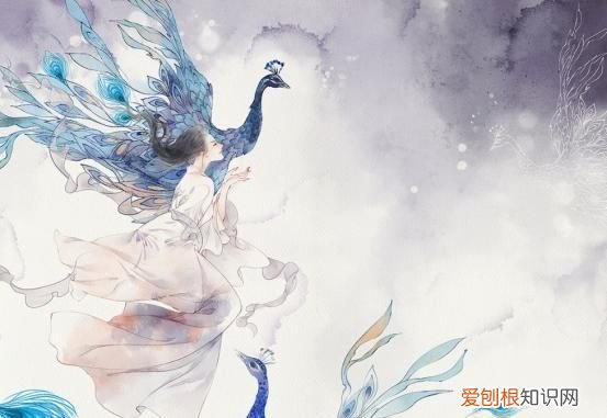 孔雀东南飞为何被移出课本