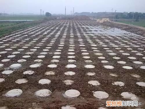 “ 地基 ”与 “ 基础 ” 根本就不是一回事！ 地基与基础工程