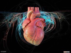 窦性心律不齐是怎么回事 心律不齐是怎么回事