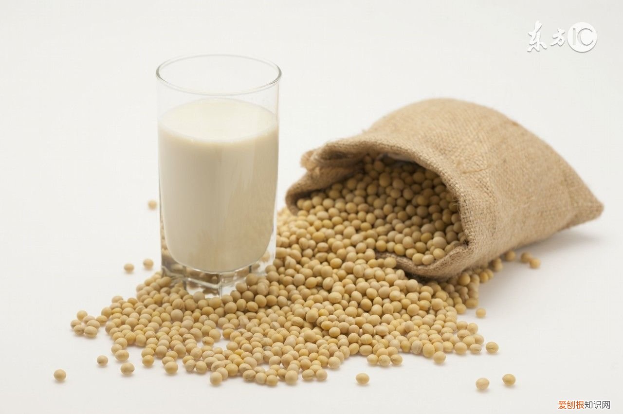 豆浆减肥的正确方法 豆浆减肥法