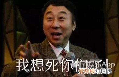 春晚十年金句合集 春晚流行语