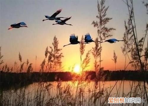 春夏秋冬诗词名句 古诗中的春夏秋冬