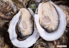 生蚝是牡蛎吗，生蚝是甲壳类