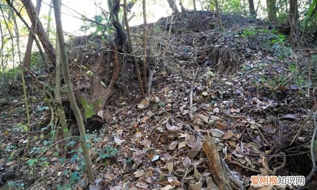 现在可以去景德镇瓷都吗 去景德镇古窑多少公里