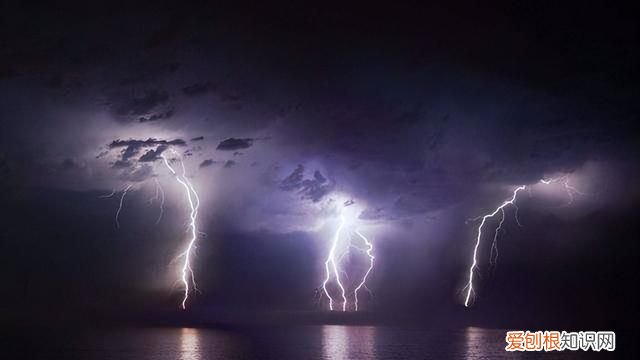 四川7村民上山挖虫草丛雷击身亡 四川村民上山虫草遭雷击身亡