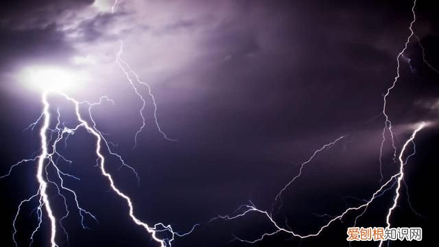 四川7村民上山挖虫草丛雷击身亡 四川村民上山虫草遭雷击身亡