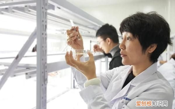 海边发现野生成熟稻谷意味着什么